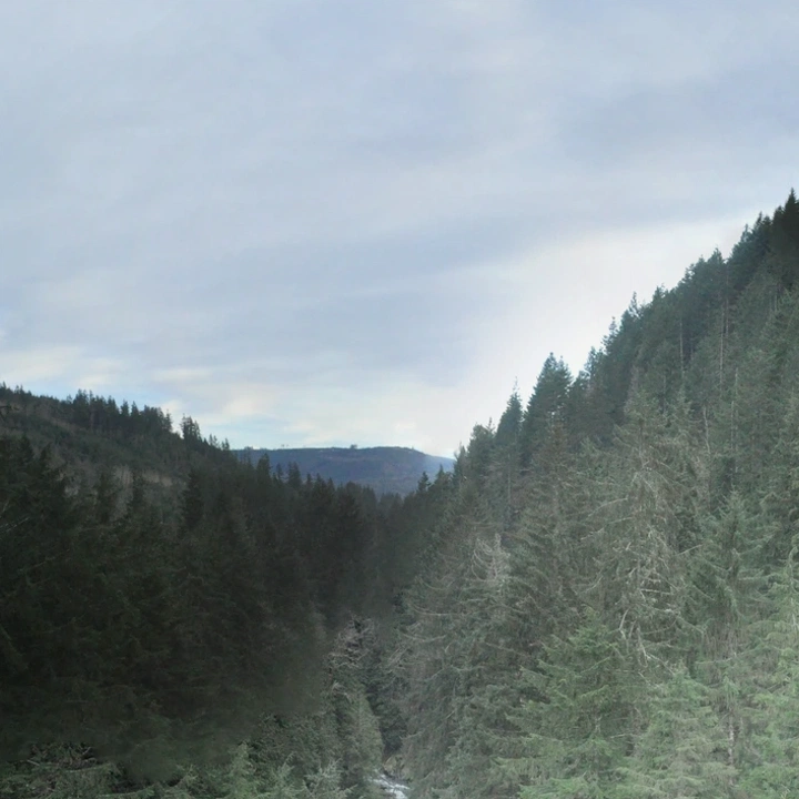 Lake area and mountain land in Seattle