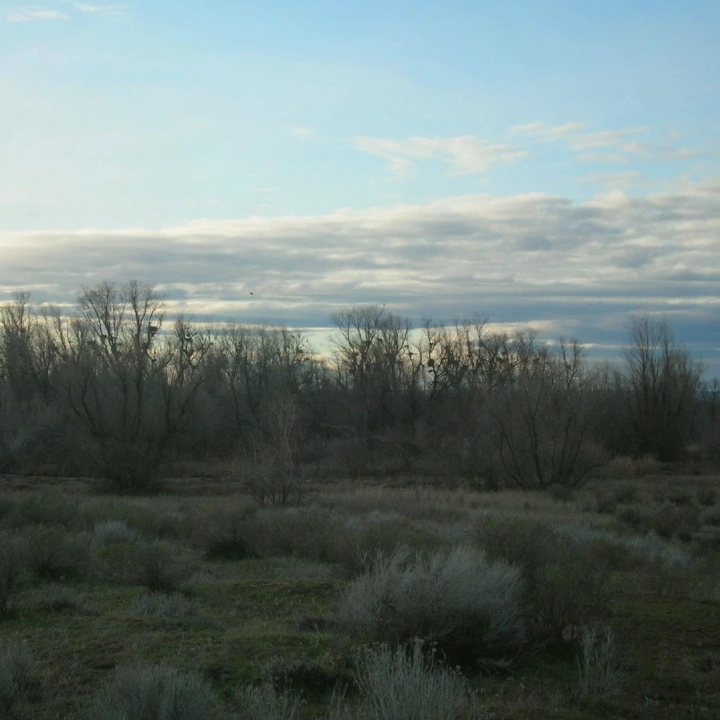 Rural acreage in Moses Lake