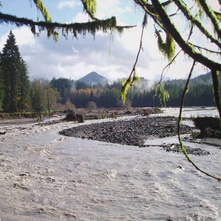 Rural acreage in Olympia