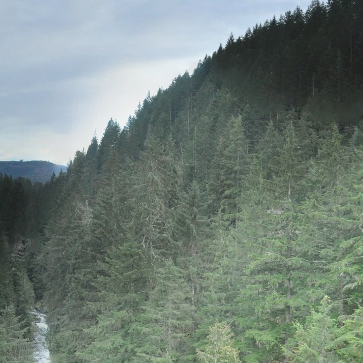 Rural acreage in Pierce County