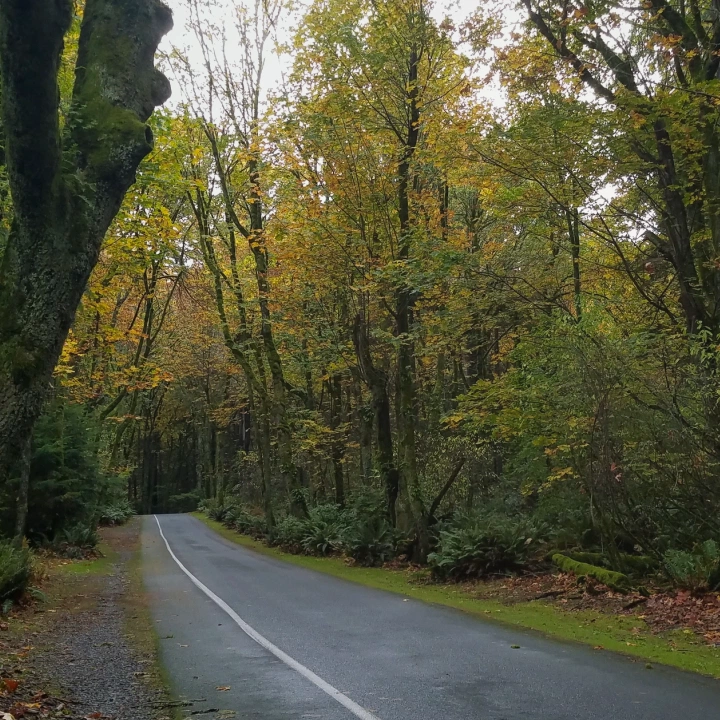 Rural acreage in Tacoma