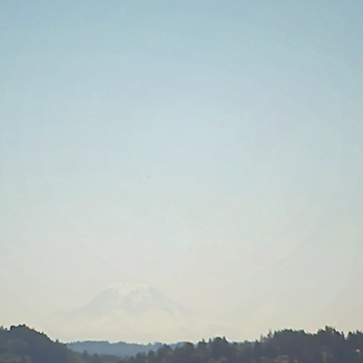 Wooded land in Bremerton