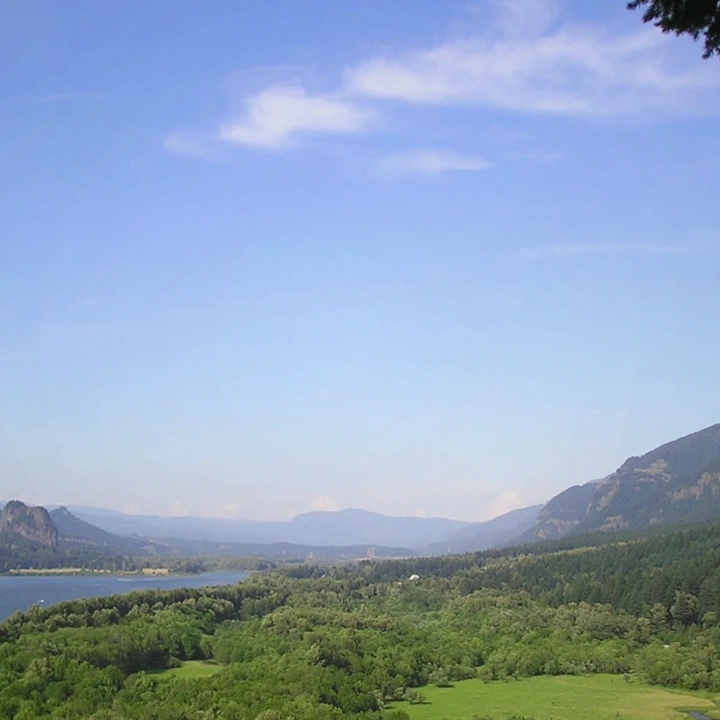 Wooded land in Clark County