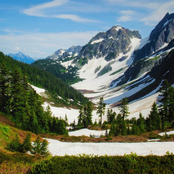 Wooded land in Snohomish County