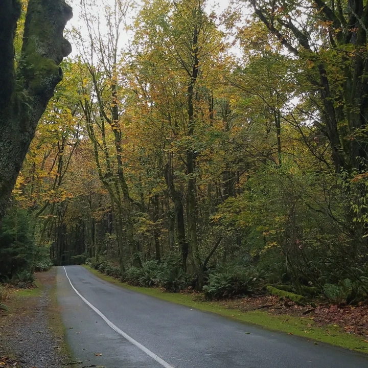 Wooded land in Tacoma