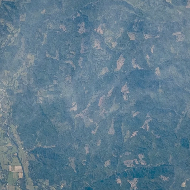 Wooded land in Thurston County