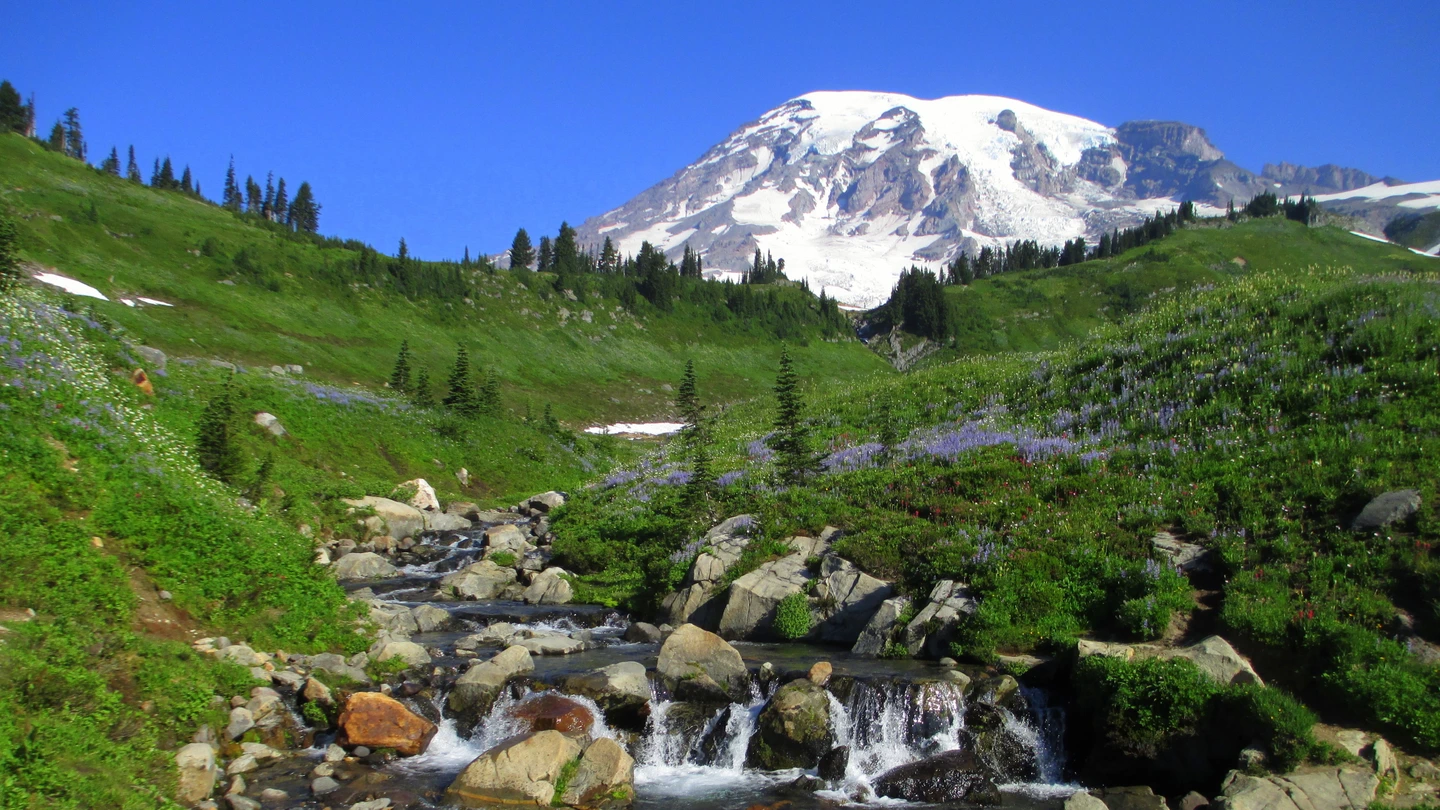 King County vacant land, wooded acreage, and rural parcels in Washington