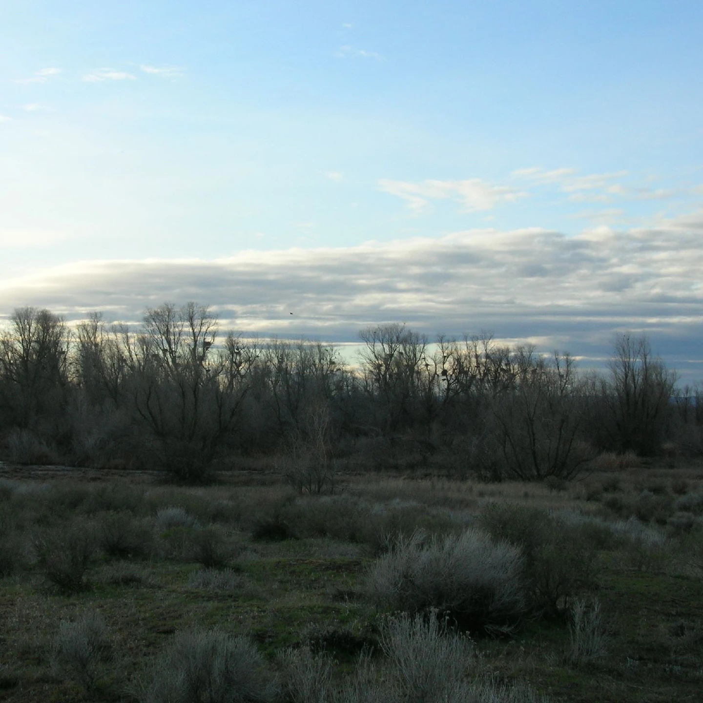 Moses Lake vacant land, wooded acreage, and rural parcels in Washington