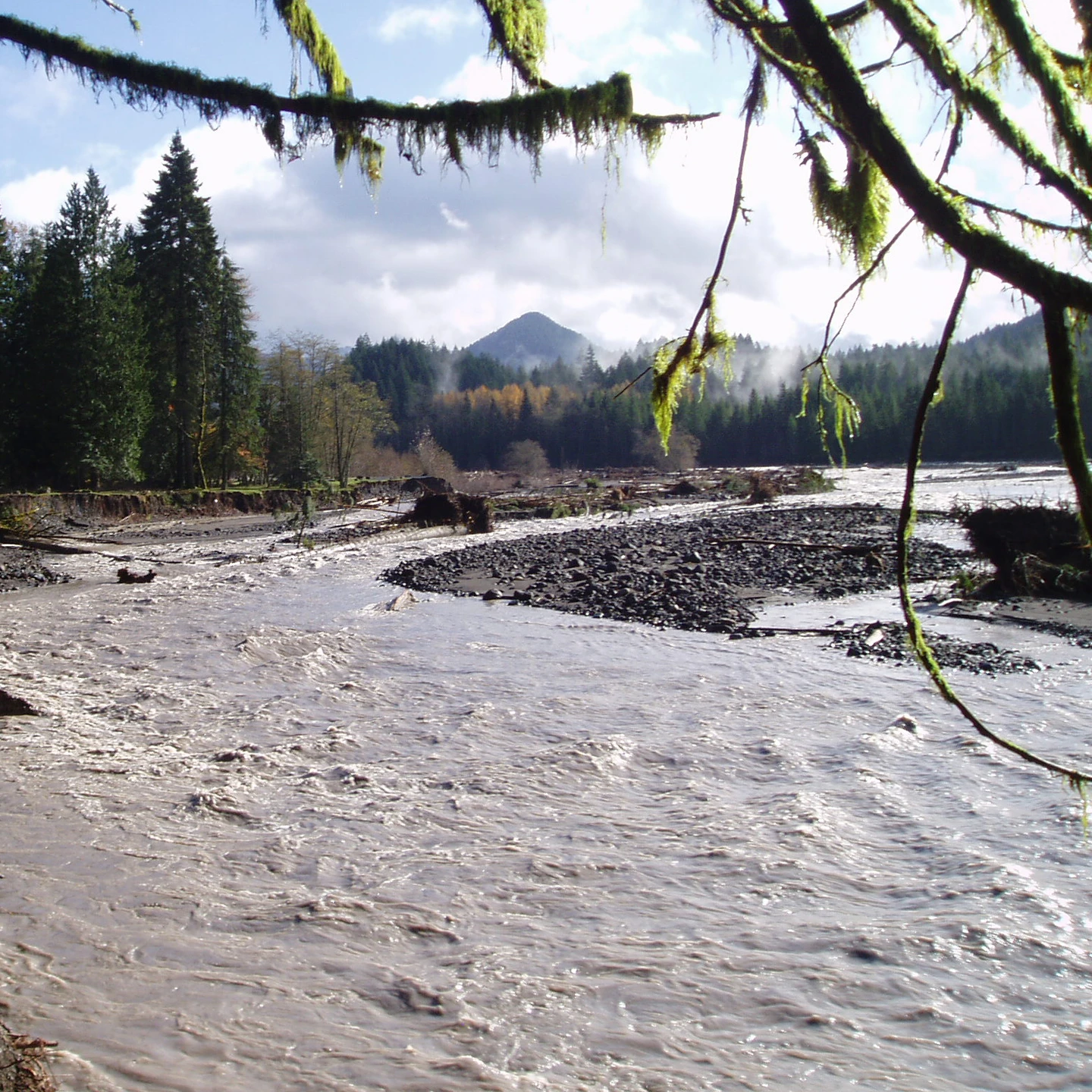 Olympia vacant land, wooded acreage, and rural parcels in Washington