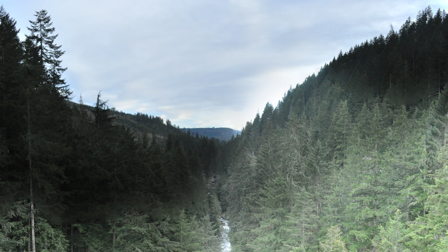 Pierce County vacant land, wooded acreage, and rural parcels in Washington